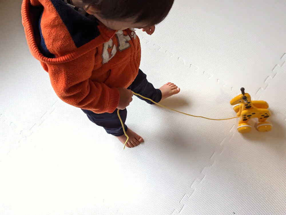 キッズラボラトリーから届いたBRIOのプルトイキリンで遊ぶ1歳児